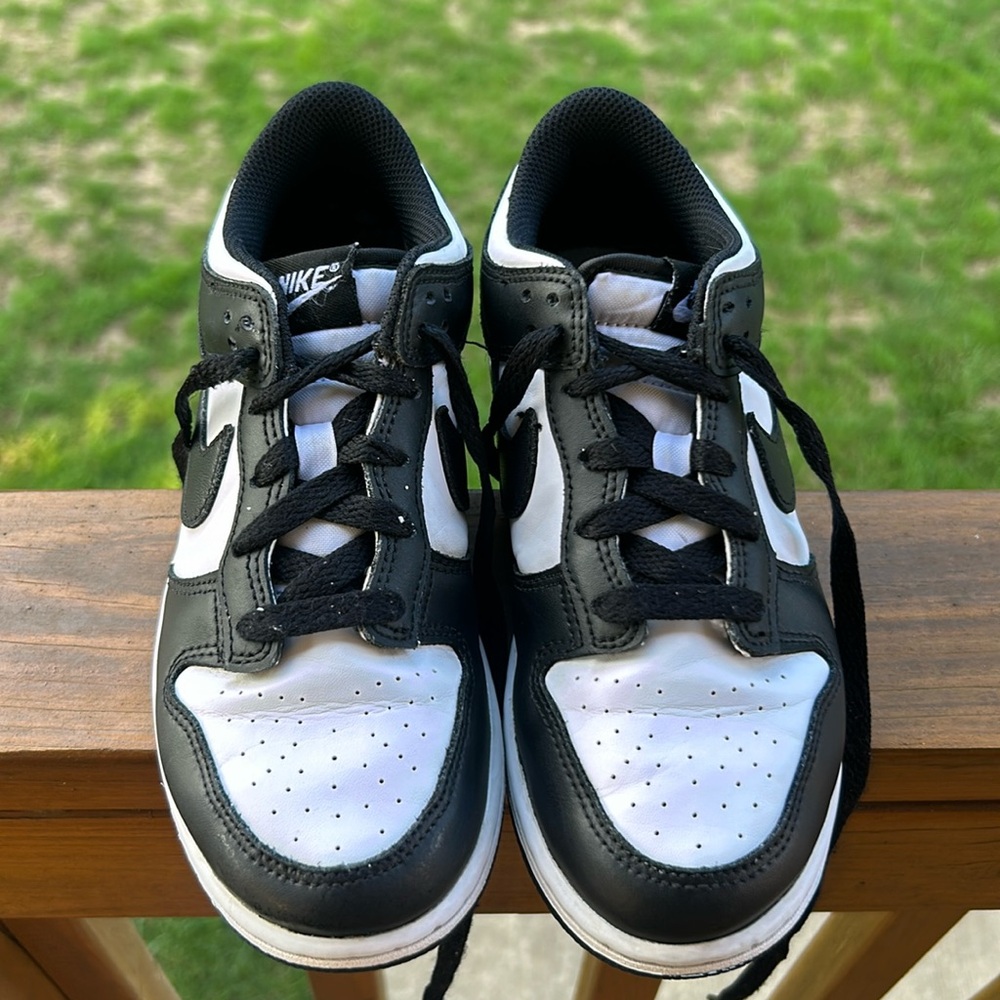 Nike dunks